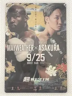 Item thumbnail for item f81105af-9f95-4fbf-8c58-40c116c1e28a