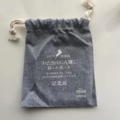 Item thumbnail for item 417f7301-b8b2-41a0-91cb-408609563f7b