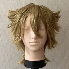 にじさんじ 伏見ガク ふしみがく ウィッグ コスプレ - メルカリ
