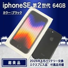 超美品 ｜ iPhone SE2 64GB ブラック バッテリー100％