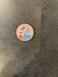 ディズニー刺繍缶バッジシンデレラ　眠れる森の美女
