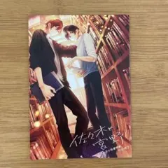 リュウ様 リクエスト 2点 まとめ商品