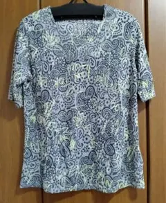 Item thumbnail for item 0b05c645-9f06-49dc-b689-91997e0e9f05