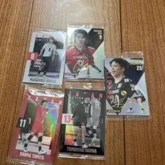 バレーボール 日本代表 選手カード ツインウエハース2025セット6枚売り