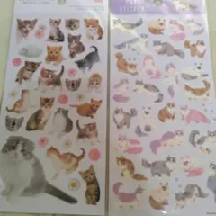 Item thumbnail for item a13e238f-488e-4c8a-b0f8-9846520a7a85