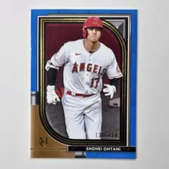 MLB2022 PANINI PRIZM STAINED GLASS 大谷翔平 - メルカリ