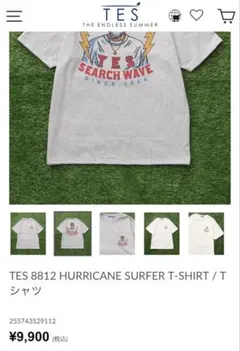 THE ENNDLESS SUMMER TES Tシャツ Lサイズ　ほぼ美品のサムネイル