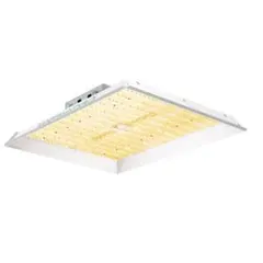 Item thumbnail for item 6da91991-257c-42bf-89c1-fd7ee023d91e