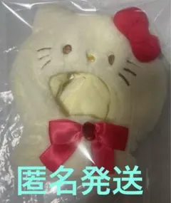 匿名発送　サンリオハローキティ ぬいぐるみコスチューム(エンジョイアイドル)