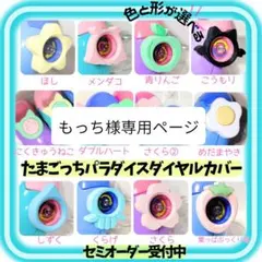もっち様専用ページ