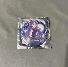 スタートゥインクルプリキュア アクリルスタンド 缶バッジ まとめ売り 2025年最新】スター☆トゥインクル アクリルスタンドの人気