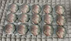 プロセカ 望月穂波 48B 缶バッジ