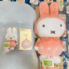 Item thumbnail for item c81a40a9-1a51-4e39-bfd9-4fbdc516b55a