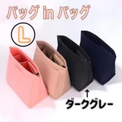 バッグインバッグ グレーＬ インナーバッグ ロンシャン ボトル入れポケット