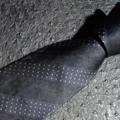 Item thumbnail for item 1954fafe-2bb8-448c-8ff0-48cb2950f62f