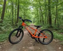 2026年最新】SCHWINN マウンテンバイク(MTB)の人気アイテム - メルカリ