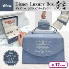 Disney ミッキー アクセサリーケース