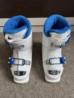 Item thumbnail for item 8d66fa85-5dfe-4f51-9f5f-6fad7be4d7a3