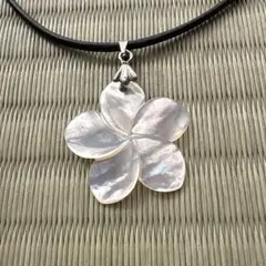 Item thumbnail for item 4fa5fdfb-de2f-4fc3-abc9-1cd0ad2788cf