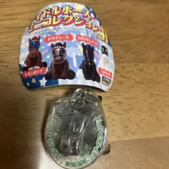 アイドルホースミニコレクション 2025年最新】アイドルホースミニの人気アイテム - メルカリ