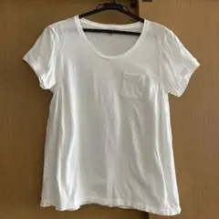 Item thumbnail for item 78303ec9-d6c6-40bc-aa1c-9b420d14c453