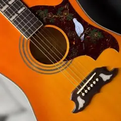 ★デッドストック級！全音楽器・ロジェ・ハミングバードモデル F-170 超激鳴★ ☆デッドストック級！全音楽器・ロジェ・ハミングバードモデル F-170