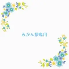 みかん様専用ページです♡