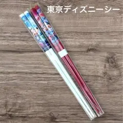 東京ディズニーリゾート 15周年　箸セット　TDS ミッキーマウス　ミニーマウス