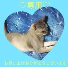 いちご様 リクエスト 2点 まとめ商品