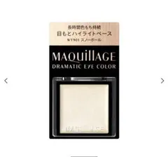 マキアージュ（MAQUILLAGE）アイカラー