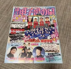 日刊スポーツグラフ　2011年 輝け甲子園の星 野球特集号