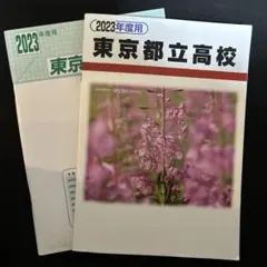 Item thumbnail for item f2c27fd1-cbfe-4d71-bb74-65eff0c4eaa4