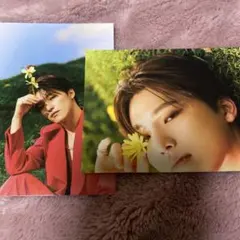 SEVENTEEN SECTOR17 カード ディノ