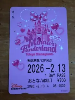 ディズニーリゾートライン フリーきっぷ 使用済み リゾラ 35周年