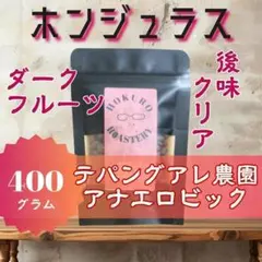 ホンジュラス テパンアグレ農園 アナエロビック 400g 自家焙煎コーヒー豆