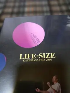 2026年最新】小田和正 life-sizeの人気アイテム - メルカリ