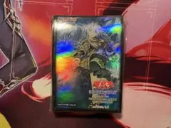 遊戯王 清冽の水霊使いエリア / 海外公式スリーブ未開封品70枚 遊戯王 清冽の水霊使いエリア / 海外公式スリーブ未開封品70枚 - メルカリ