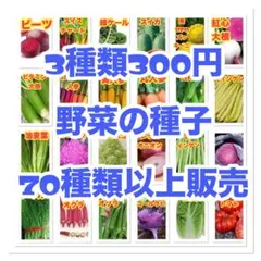 ★野菜の種子のサムネイル