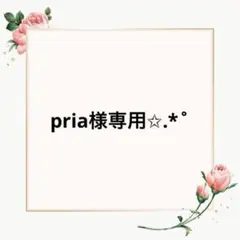 pria様 リクエスト 2点 まとめ商品