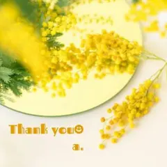 つばさ様 リクエスト 2点 まとめ商品