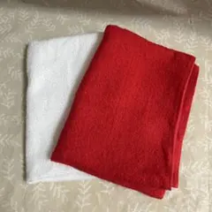 Item thumbnail for item 30d6c09c-3830-4643-b648-1a16846a4eb1