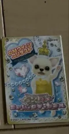 かの様専用　ワンタメ　CMグランドクイーン