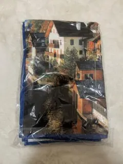 Item thumbnail for item a60a6f84-e48a-4132-8523-8e9aef20ac6b