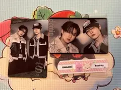 dominATE エコパ　アプグレ　トレカ　絆創膏　チャンビン　アイエン