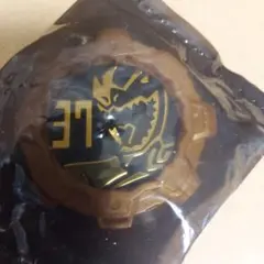 でん様専用