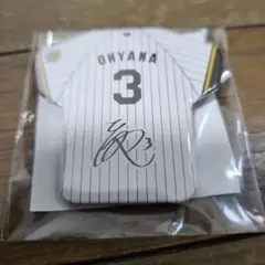 阪神タイガース 大山悠輔 3 直筆サイン色紙 入団直後サイン！ 阪神タイガース 大山悠輔 3 直筆サイン色紙 入団直後サイン
