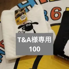 T&A様専用