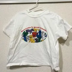 チマジロ トップス