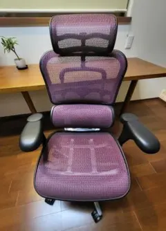 ergohuman basic EH-HAM パープル