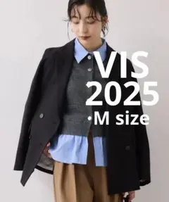 VIS 美easyウーリッシュダブルブレストテーラードジャケット(Mサイズ)
